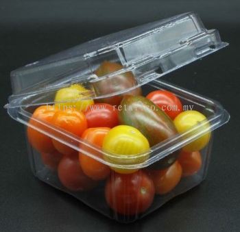 FRUIT CONTAINER : L 250 