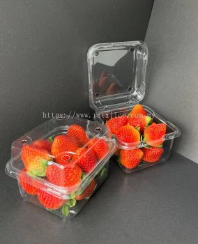 FRUIT CONTAINER : ST 250