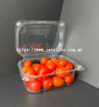 FRUIT CONTAINER : BX250H55