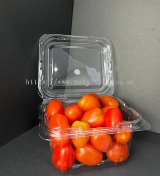 FRUIT CONTAINER : TMT 250 (T250)