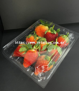 FRUIT CONTAINER : NB 003 - Retailco Asia Sdn Bhd