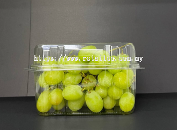 FRUIT CONTAINER :  LH 850