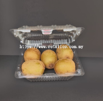 FRUIT CONTAINER : KIW 5 (BX 158)