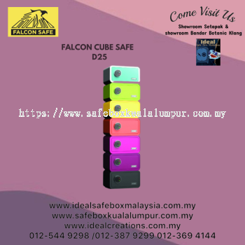 Falcon Cube Safe (Model: D25)_21kg