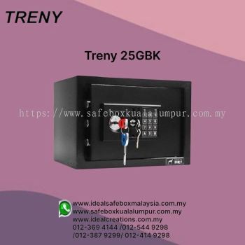 Treny Safebox 25GBK