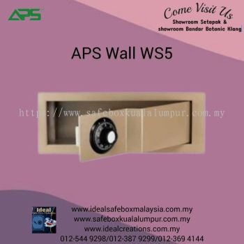 APS Wall Safe WS