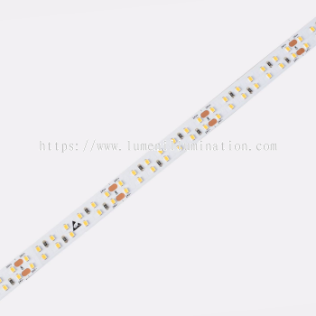  LED STRIP  - D6280-24V-10mm 