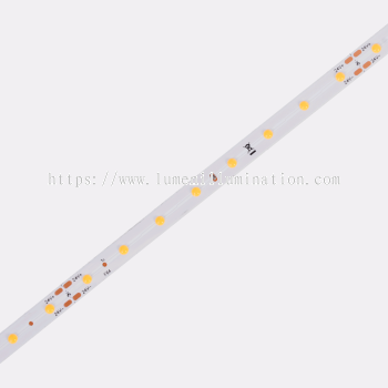 FD64-24V-8mm LED STRIP 