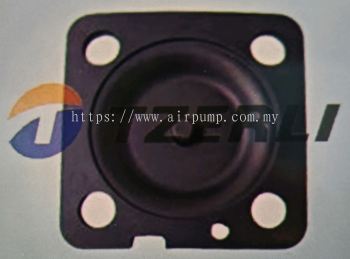 V21478207 DIAPHRAGM 