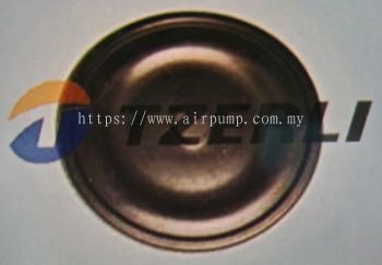 V383972 DIAPHRAGM 