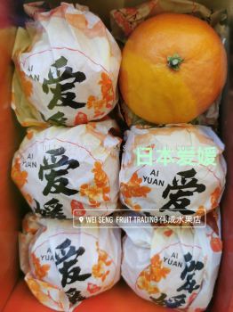 Japan Ai Yuan Orange