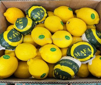 Egypt Mafa Lemon 