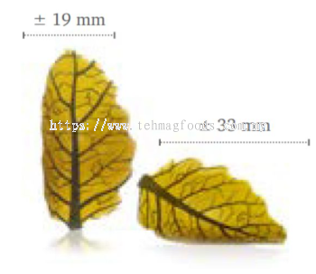 CURVY LEAF YELLOW