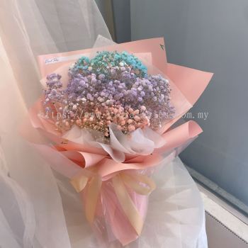 3 Color Gypsophila