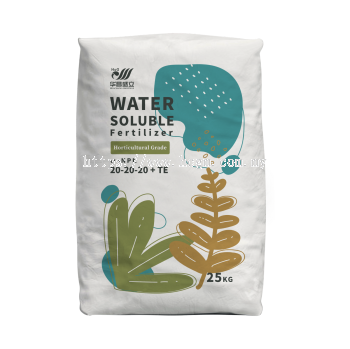 Water Soluble Fertilizer wsNPK 20-20-20+TE
