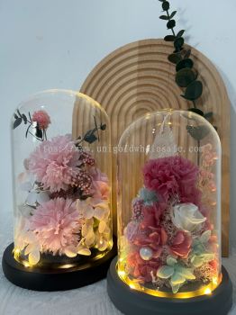 UNIGOLD Teachers Day/Mother's Day Preserved Soap Flower in Glass Dome (Big&Medium) Valentine's Day Gift Anniversary