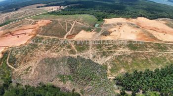 Tanjung Langsat Industrial Land for Sale | Freehold 40-Acre Medium & Heavy Industrial Site in Johor JS-SEZ Near Ports & Airports