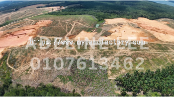Tanjung Langsat Industrial Land for Sale | Freehold 40-Acre Medium & Heavy Industrial Site in Johor JS-SEZ Near Ports & Airports