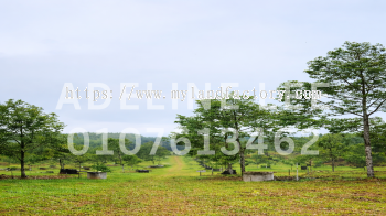 Ulu Choh Freehold Industrial Land for Sale | 11 Acres Industrial-Zoned Land Near Senai Airport
