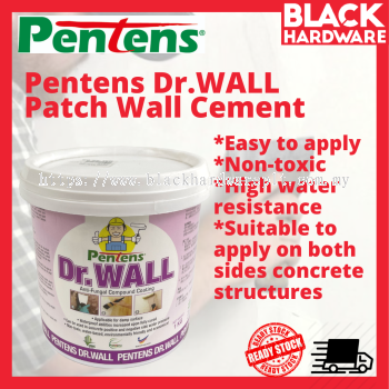 1KG PENTEN DR.WALL REPAIR WALL CEMENT