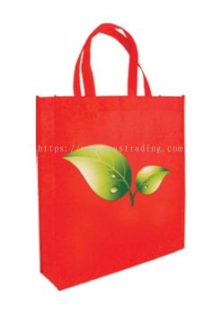 Non-woven Bag (A3 Size) - NWB0037