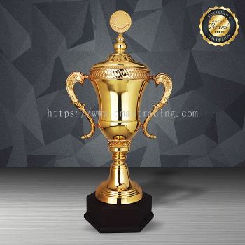 Exclusive White Silver Trophy - WS6210 