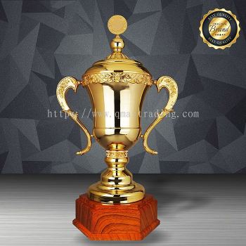 Exclusive White Silver Trophy - WS6198