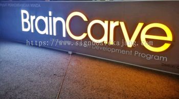 BrainCarve Signage, Led Signboard, 3D Box Up LED Lettering Frontlit 