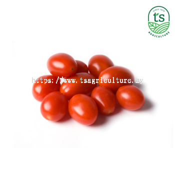 Red Cherry Tomato 红小番茄 5kg/ctn