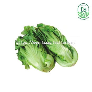 Sayur Kai Choy 芥菜 10kg/ctn