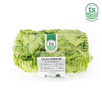 Lettuce Romaine 250gm+- (12pck/ctn)