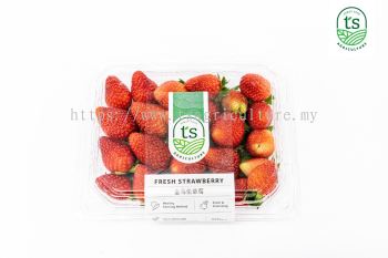 Strawberry 250gm+- (12pck/ctn)