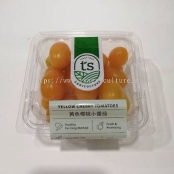 Yellow Cherry Tomato 250gm+- (18pck/ctn)