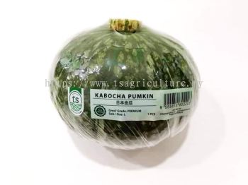 Kabocha Pumpkin 1PCS
