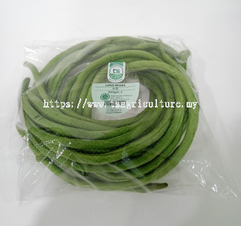 Long Beans 300gm+- (15pck/ctn)