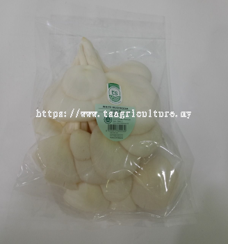 Abalone Mushroom (White) 200gm+-