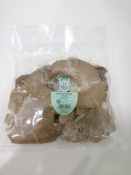 Abalone Mushroom (Grey) 200gm+- (15pck/ctn)
