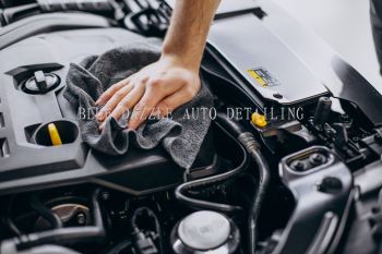 Professional Engine Detailing & Coating Service