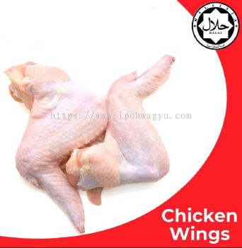 Premium Frozen Chicken Wing 2KG卤 HALAL