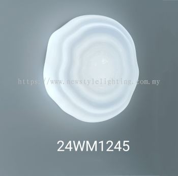 24WM1245 Ceiling Light Lampu Siling 天花板灯