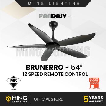 FANDASY Brunerro Series 54" Ceiling Fan