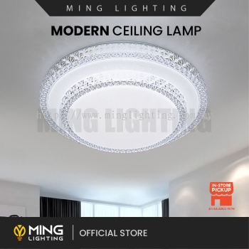 Modern Surface Ceiling Light 14701