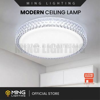 Modern Surface Ceiling Light 14702