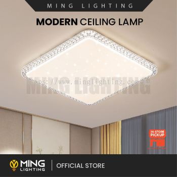 Modern Surface Ceiling Light 14703