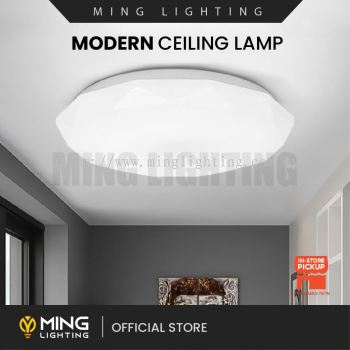 Modern Surface Ceiling Light 14706