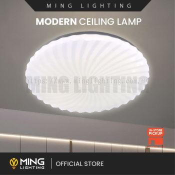 Modern Surface Ceiling Light 14709