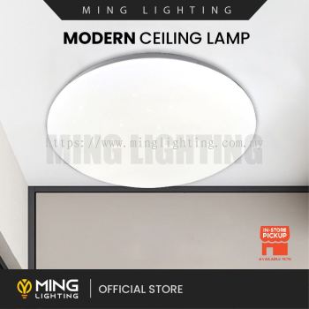 Modern Surface Ceiling Light 14710