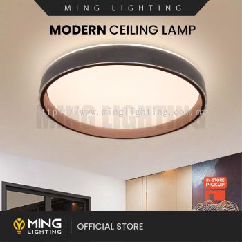 Modern Surface Ceiling Light 14712