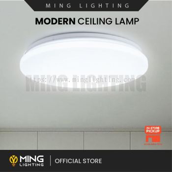 Modern Surface Ceiling Light 14713