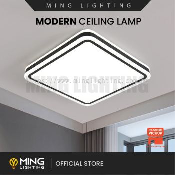 Modern Surface Ceiling Light 14715